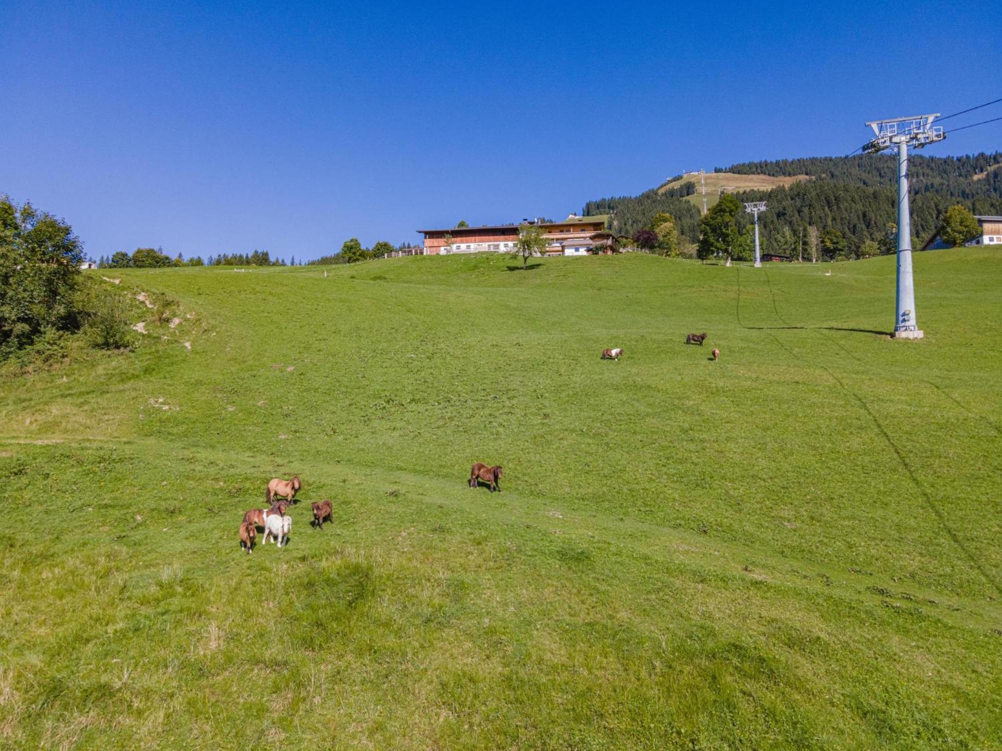 Igl Hof Top 2 Westendorf Exterior photo